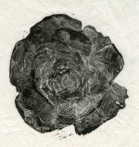 Pine Rose，2014， 作者 未知未知